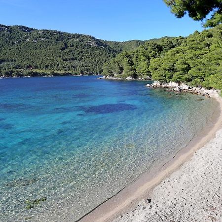 Apartments With A Parking Space Zuljana, Peljesac - 4573 Zewnętrze zdjęcie