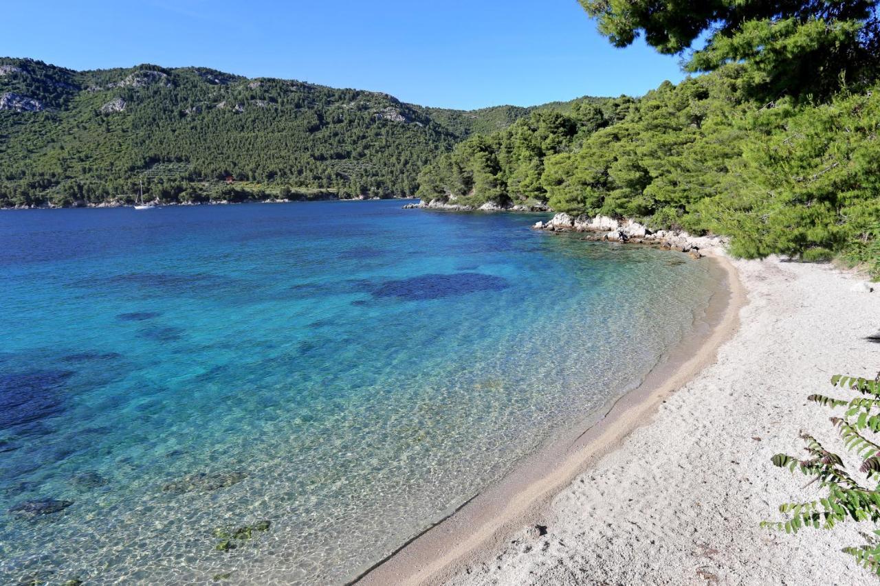 Apartments With A Parking Space Zuljana, Peljesac - 4573 Zewnętrze zdjęcie